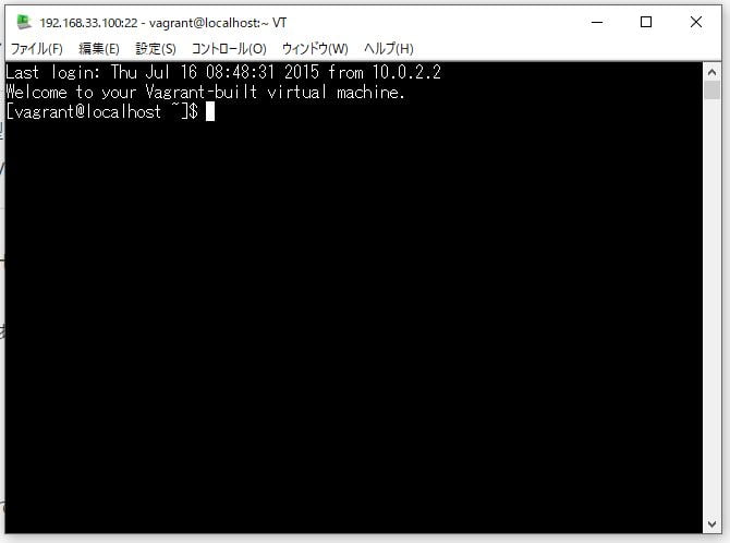 vagrant